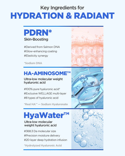 Wellage Real Hyaluronic Glow Booster PDRN Mask 5Ea | PDRN, Salmon DNA, Hyaluronic Acid, Hydrating Gel Mask, Korean Skin Care